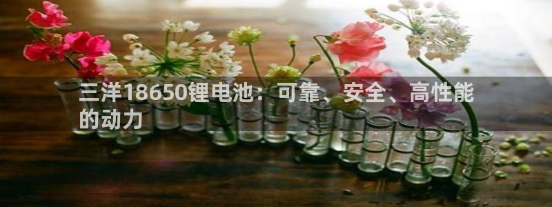 尊龙凯时注册入口：三洋18650锂电池：可靠、安全、高性能
的动力