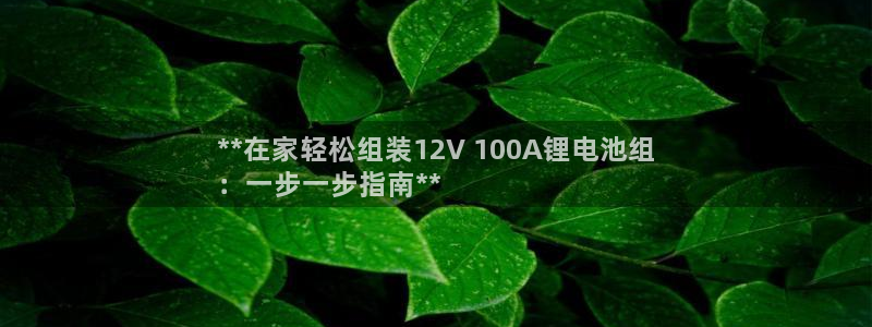 尊龙是什么软件：**在家轻松组装12V 100A锂电池组
：一步一步指南**