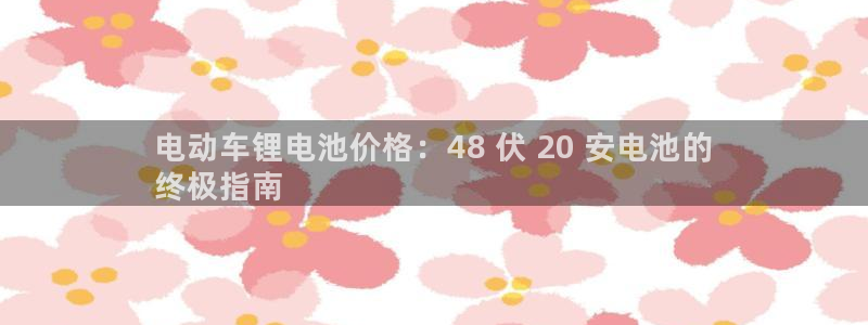 尊龙现金：电动车锂电池价格：48 伏 20 安电池的
终极指南